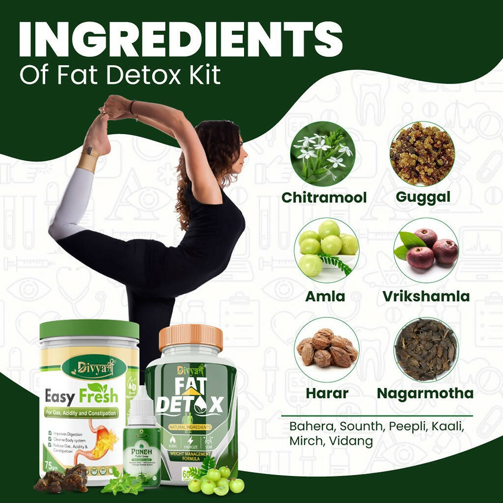 Divya Shree Fat Detox unit-dose + Easy Fresh Powder & Punch Tulsi Drop Gas Combo Kit