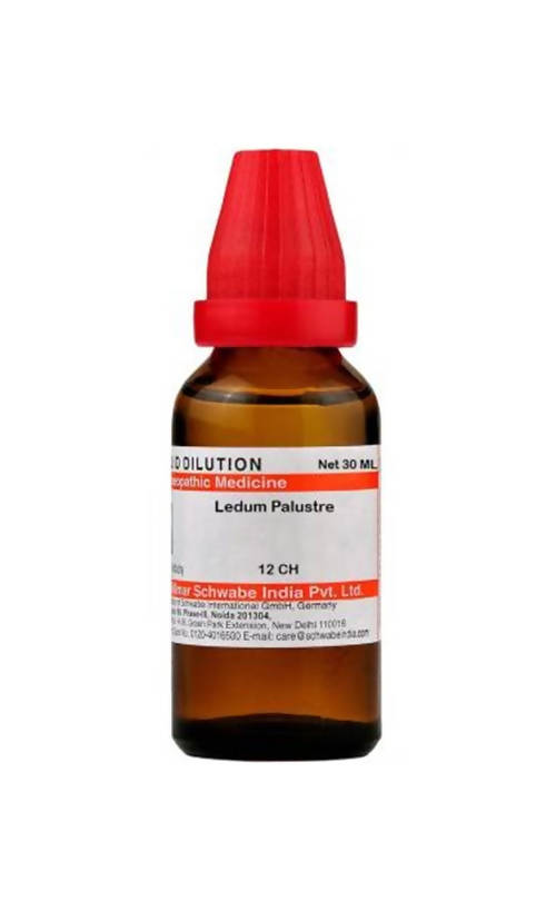 Dr. Willmar Schwabe India Ledum Palustre Dilution TrueCure