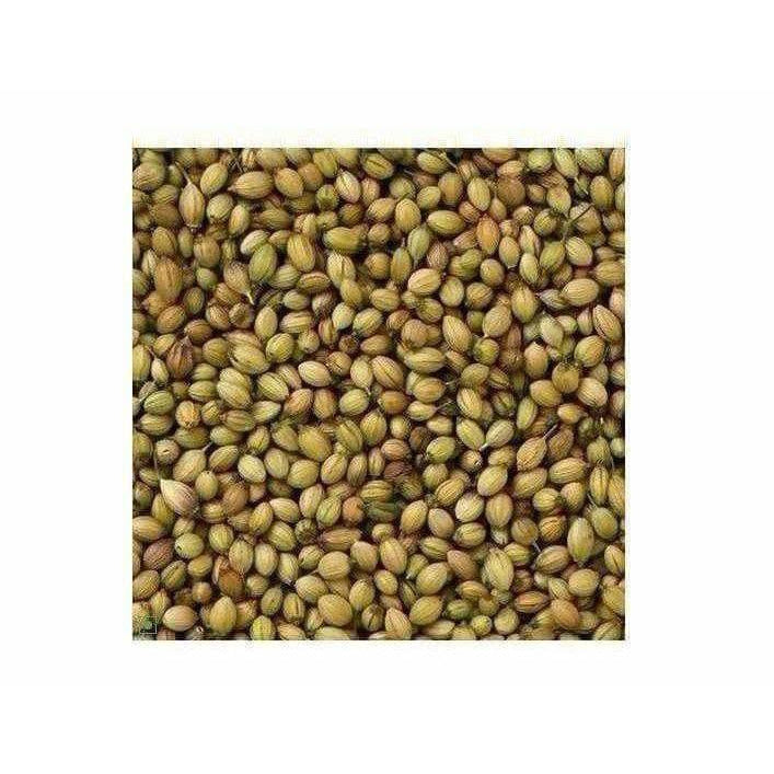 Coriander / Dhania Seeds