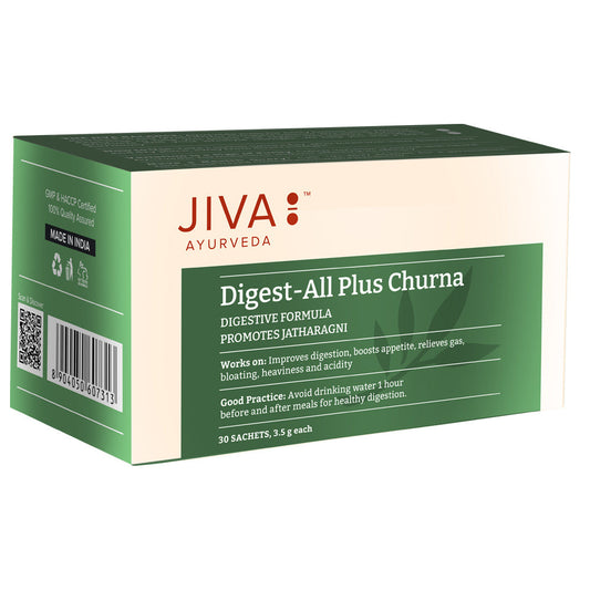 Jiva Ayurveda Digest All Plus Churna 