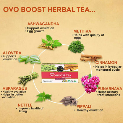 Teacurry Ovo Boost Tea for Women