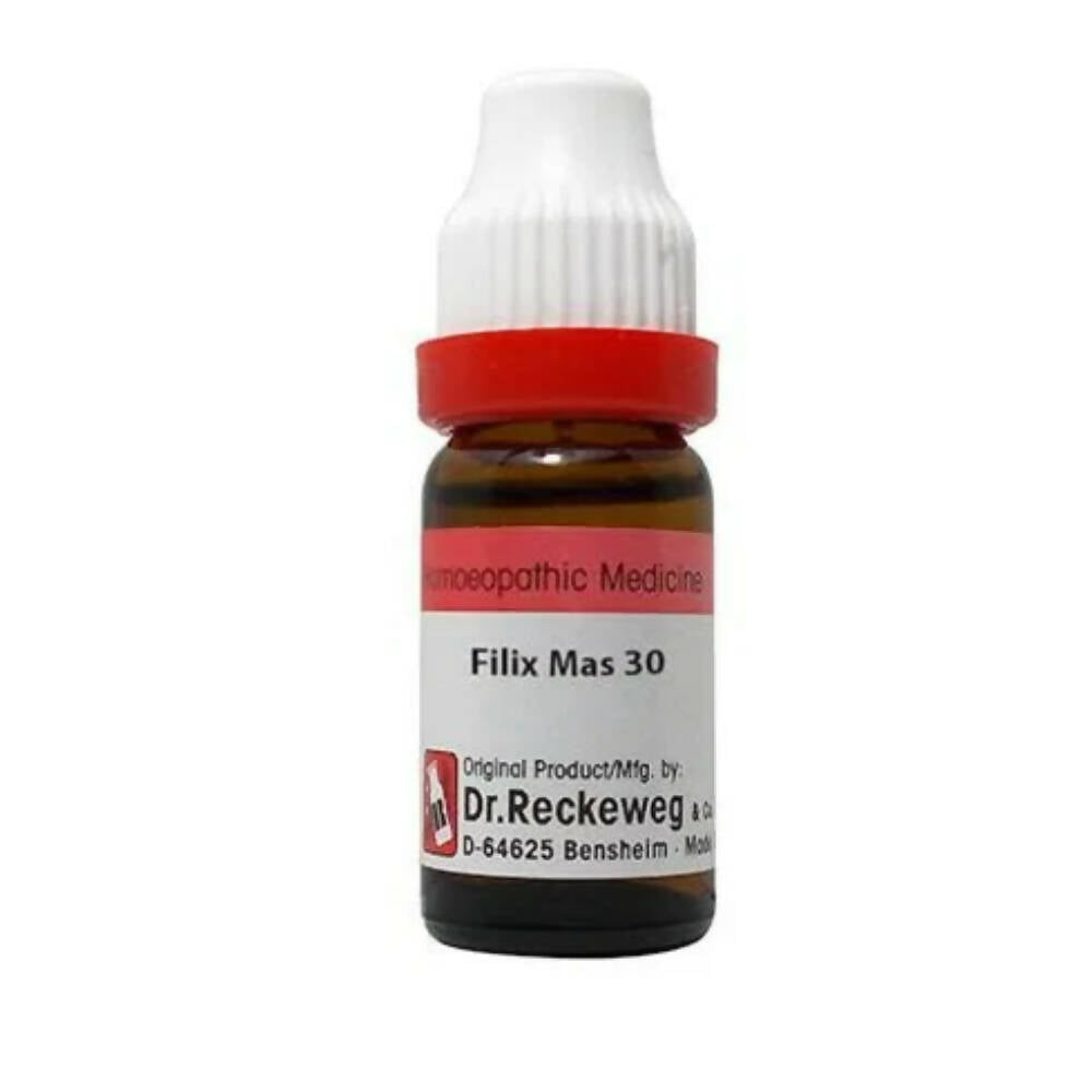 Dr. Reckeweg Filix Mas Dilution  