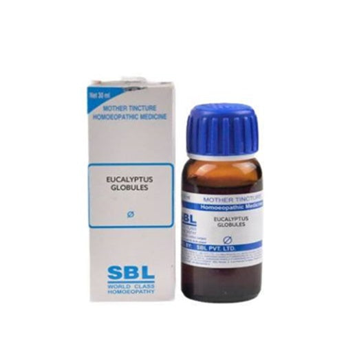 SBL Homeopathy Eucalyptus Globules Mother Tincture Q