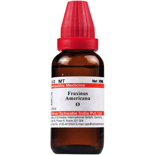 Dr. Willmar Schwabe India Fraxinus Americana Mother Tincture  