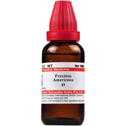 Dr. Willmar Schwabe India Fraxinus Americana Mother Tincture  