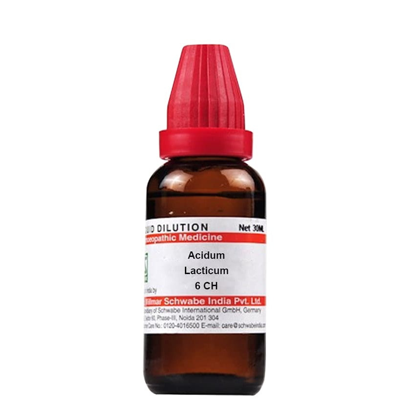 Dr. Willmar Schwabe India Acidum Lacticum Dilution 6 CH