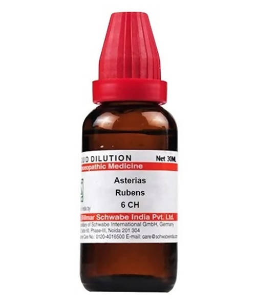 Dr. Willmar Schwabe India Asterias Rubens Dilution