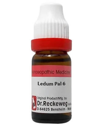 Dr. Reckeweg Ledum Pal Dilution TrueCure