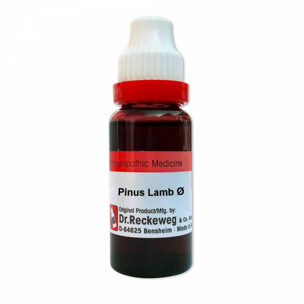 Dr. Reckeweg Pinus Lamb Mother Tincture Q