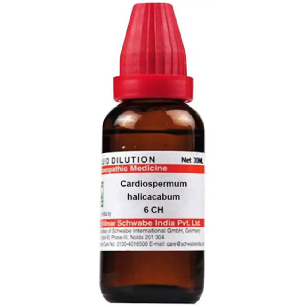 Dr. Willmar Schwabe India Cardiospermum Helicacabum Dilution 6 ch