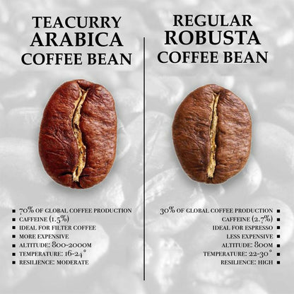 Teacurry Arabica Roasted Coffee Bean (Whole Bean, Medium Roasted)