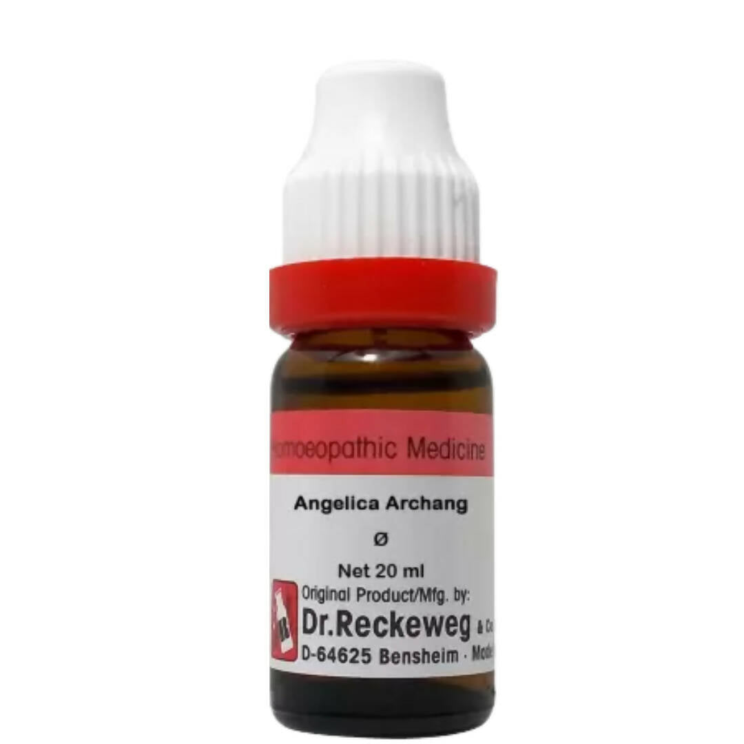 Dr. Reckeweg Angelica Archang Mother Tincture Q  