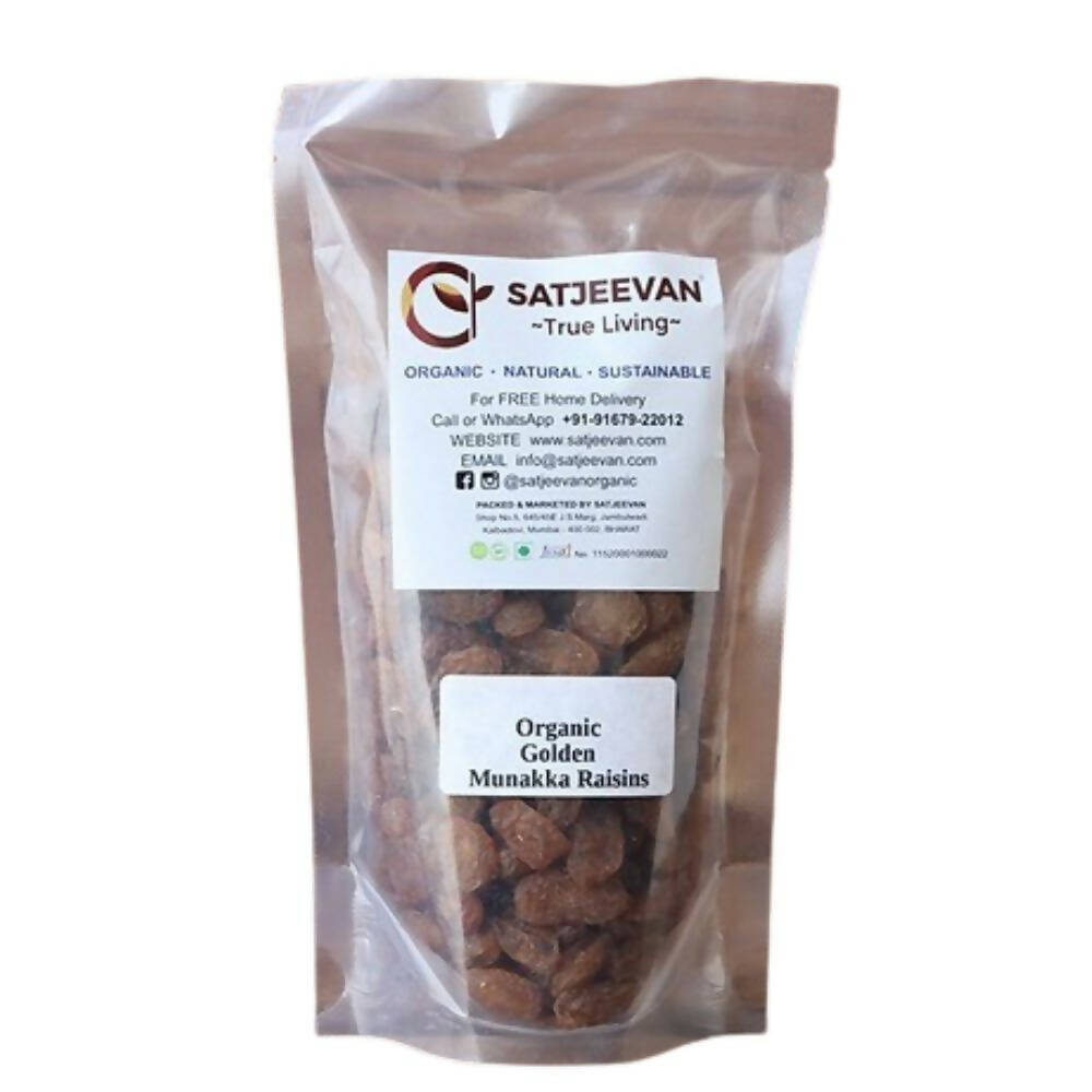 Satjeevan Organic Golden Munakka Raisins