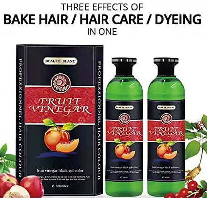 Aravli Beaute Blanc Fruit Vinegar Gel Hair Color   Natural Black