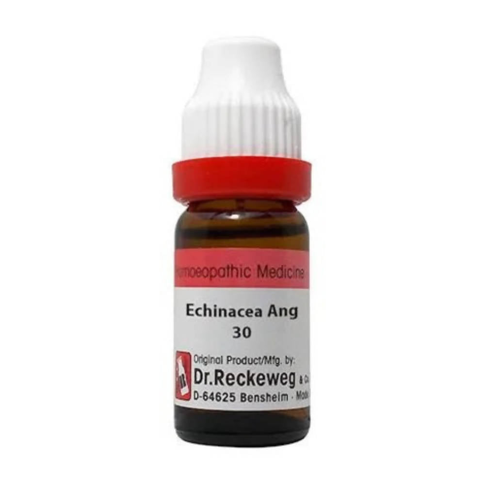 Dr. Reckeweg Echinacea Ang Dilution  