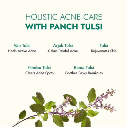 Kapiva Ayurveda Tulsi Anti Acne Serum