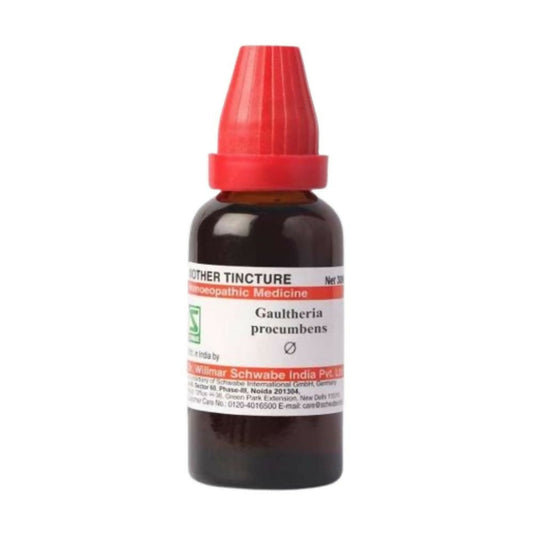 Dr. Willmar Schwabe India Gaultheria Procumbens Mother Tincture Q 