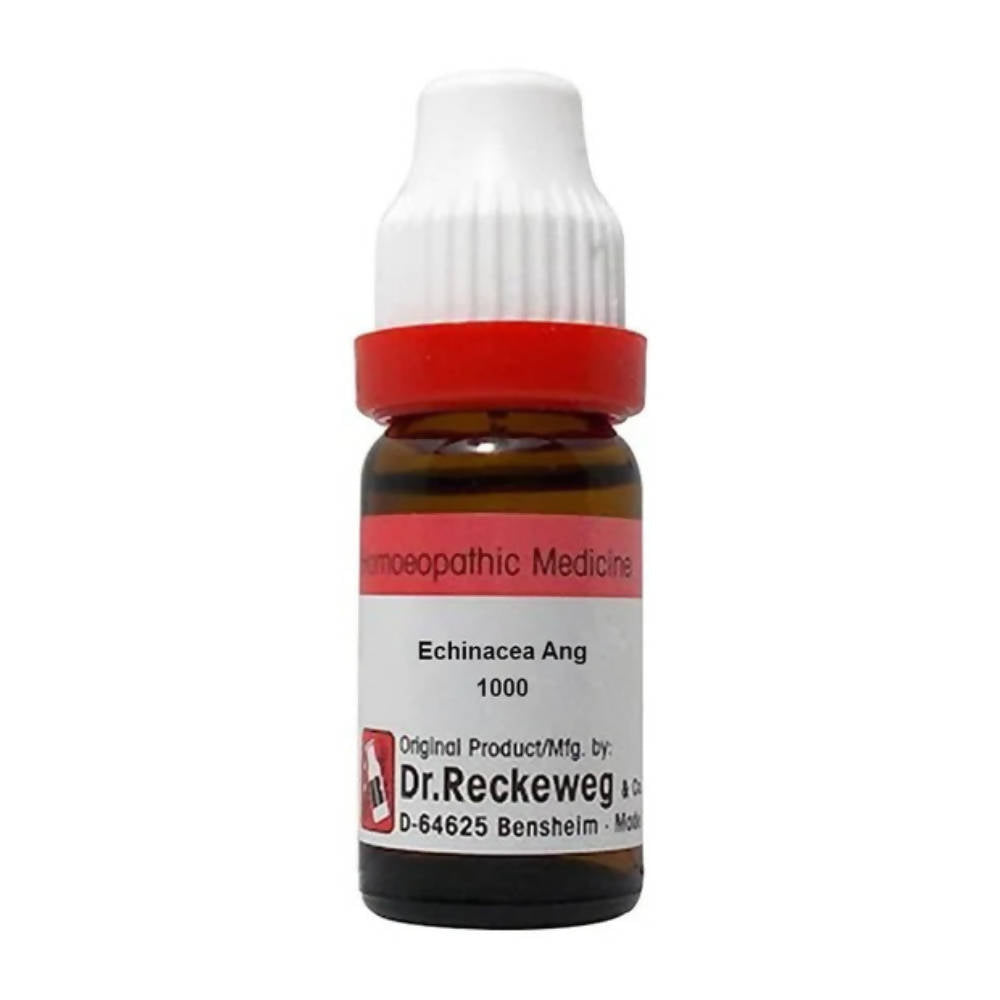 Dr. Reckeweg Echinacea Ang Dilution  