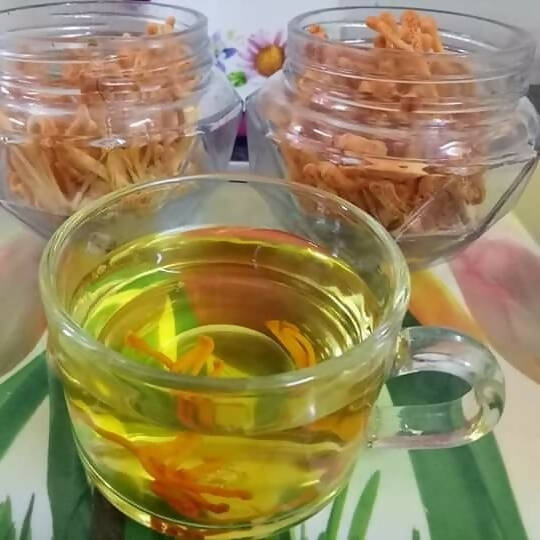 Cordy Herb Cordy Tea Dry Cordyceps Tea