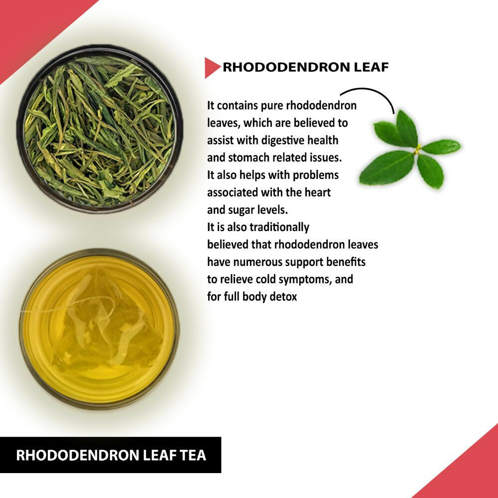 Teacurry Rhododendron Leaf Tea