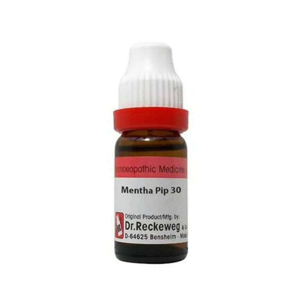 Dr. Reckeweg Mentha Pip Dilution 