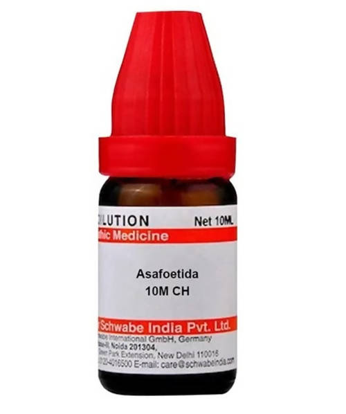 Dr. Willmar Schwabe India Asafoetida Dilution