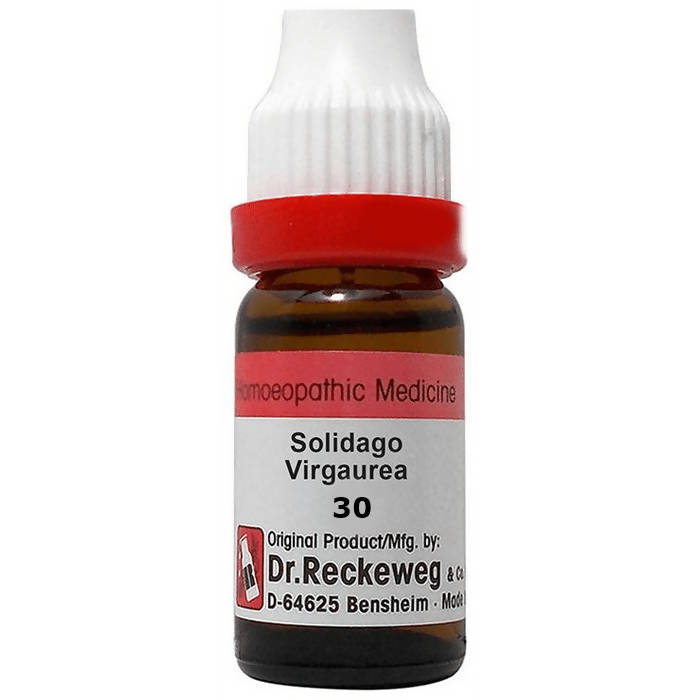 Dr. Reckeweg Solidago Virgaurea Dilution 