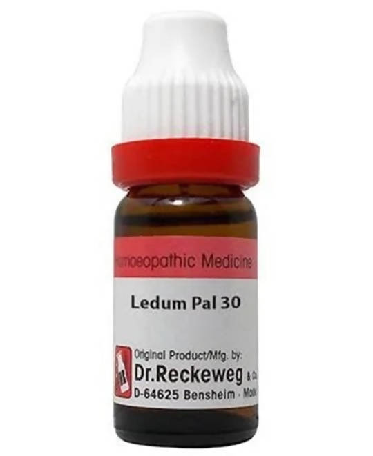 Dr. Reckeweg Ledum Pal Dilution TrueCure