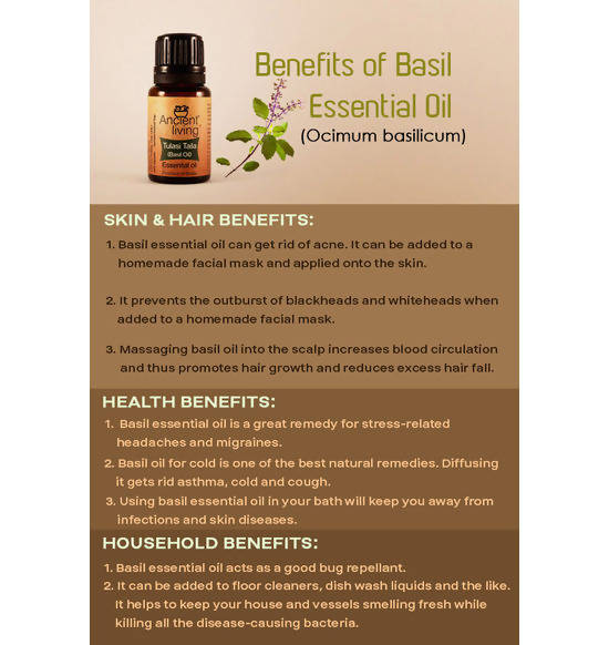 Ancient Living Tulasi Taila (Basil Oil) Essential Oil