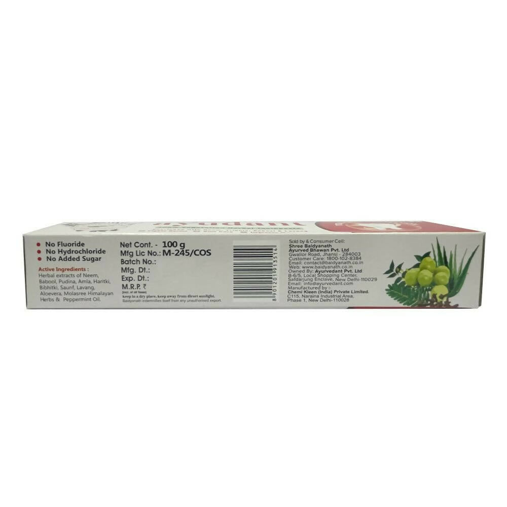 Baidyanath Jhansi Ayurvedant Ayudant Toothpaste