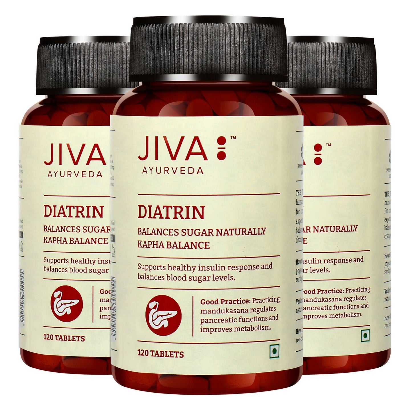 Jiva Ayurveda Diatrin Tablets 