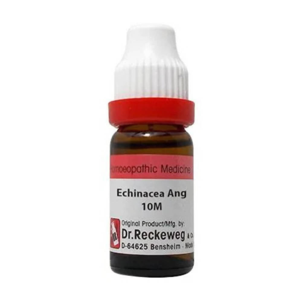 Dr. Reckeweg Echinacea Ang Dilution  