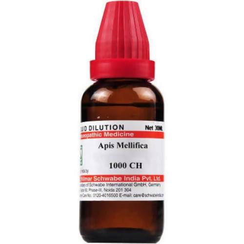 Dr. Willmar Schwabe India Apis Mellifica Dilution 1000 CH