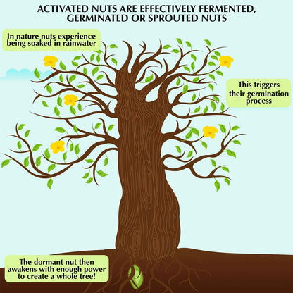 D-Alive Honestly Organic Activated Walnuts