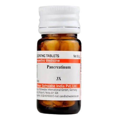 Dr. Willmar Schwabe India Pancreatinum Trituration Tablets