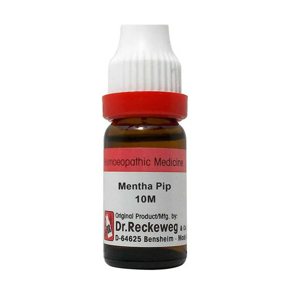 Dr. Reckeweg Mentha Pip Dilution 