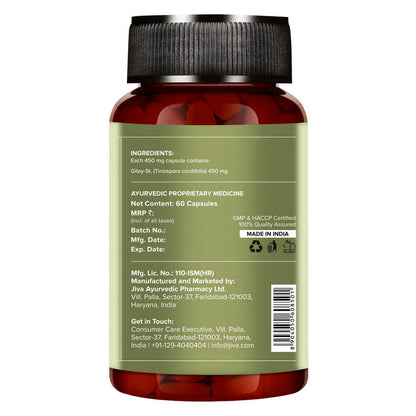 Jiva Ayurveda Giloy Capsules