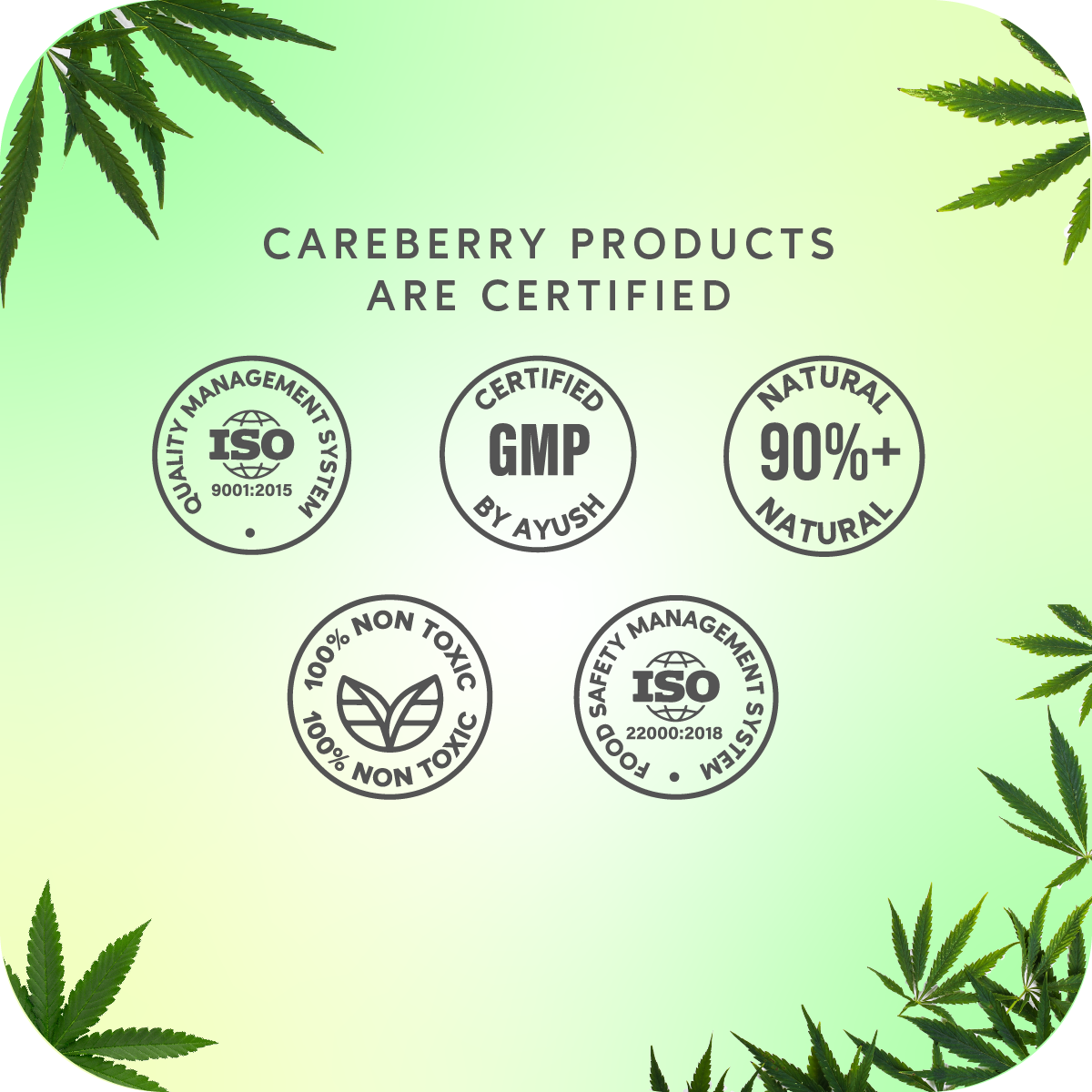 Careberry Organic Tea Tree Eucalyptus Oil Shower Gel