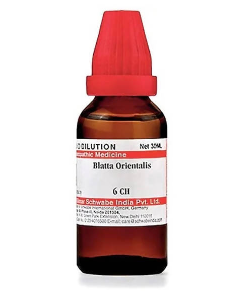 Dr. Willmar Schwabe India Blatta Orientalis Dilution