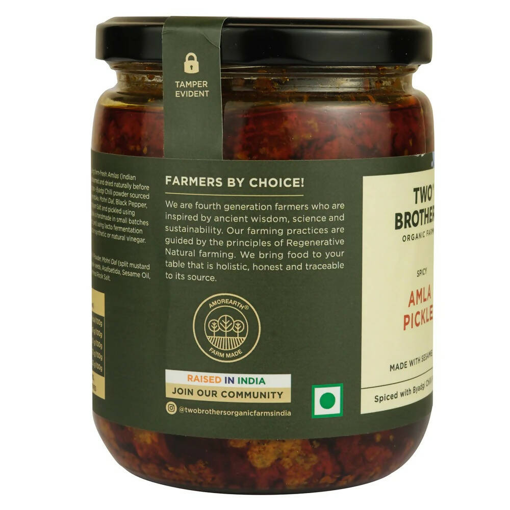 Two Brothers Organic Farms Spicy Amla Pickle - Drmedicart