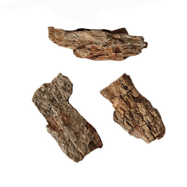 Puliyam Pattai / Tamarind Tree bark (Raw)