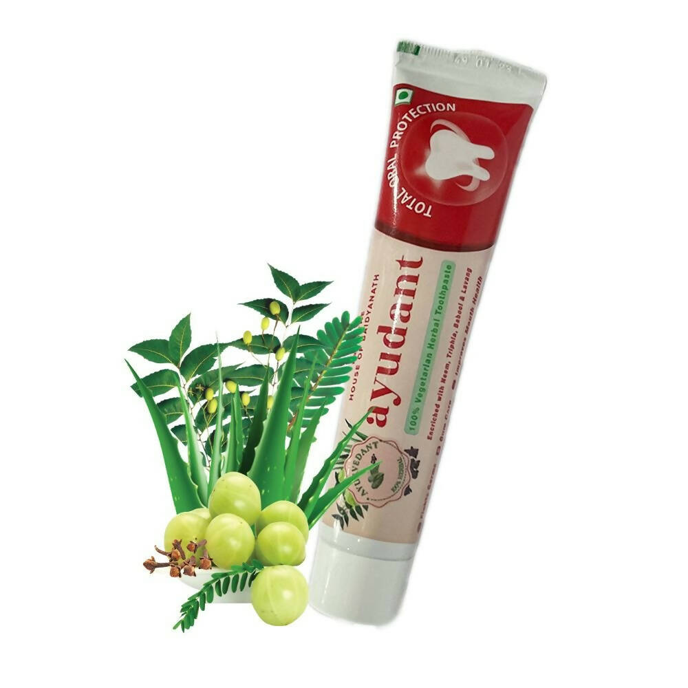 Baidyanath Jhansi Ayurvedant Ayudant Toothpaste