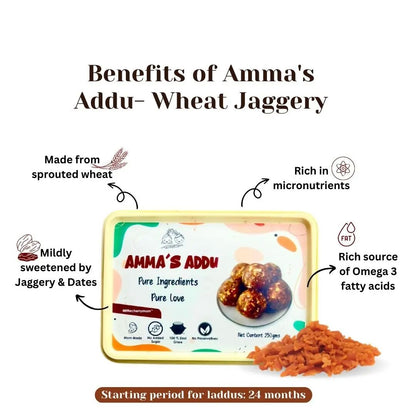 Littlecherrymom Ammas Addu Wheat & Jaggery