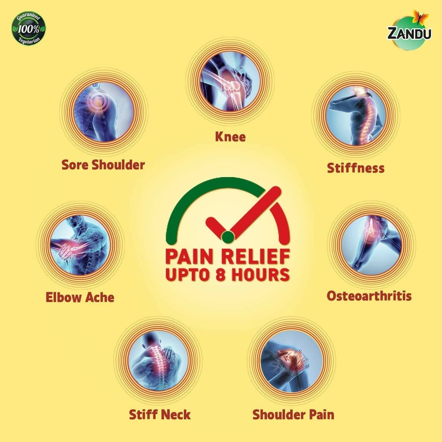 Zandu Ayurvedic Knee Pain Relief Patch