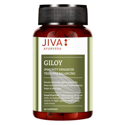 Jiva Ayurveda Giloy Capsules 