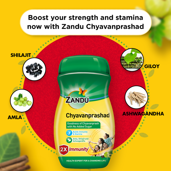 Zandu (Sugar Free) Chyavanprashad - 900 Gm