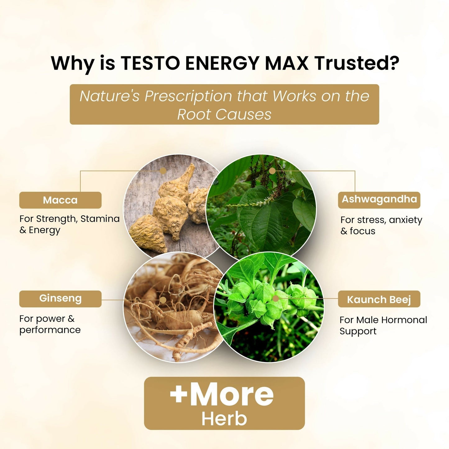 Life Aveda Testo Energy Max Capsules