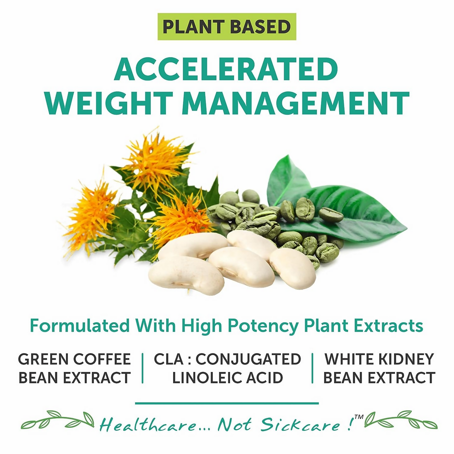 Bliss Welness CLA White Kidney Bean Extract Green Coffee Bean Extract Tablets