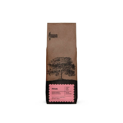 Black Baza Coffee Ficus TrueCure