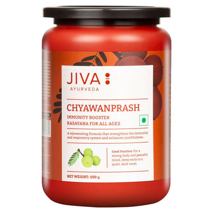 Jiva Ayurveda Karela Jamun Juice & Sugarfree Chyawanprash Combo